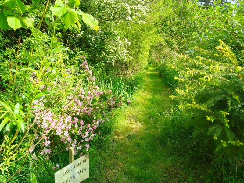 Melindwr Valley Bees, Tynyffordd Isaf